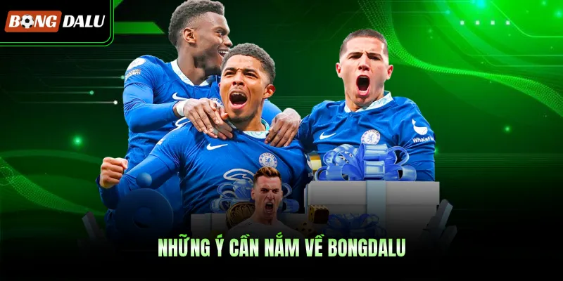 Những ý cần nắm về BONGDALU